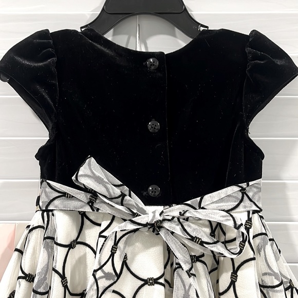 NWT Jona Michelle 2T Velvet and tulle Toddler Dress - Picture 7 of 9